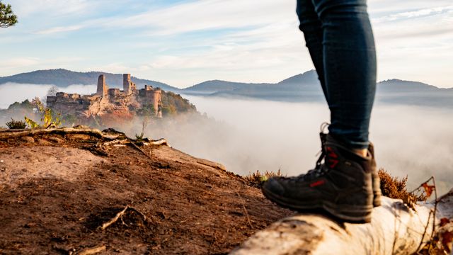 Semaines de randonnée au Pfalzblick - 