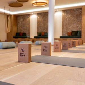 PFALZBLICK WALD SPA RESORT-image-10
