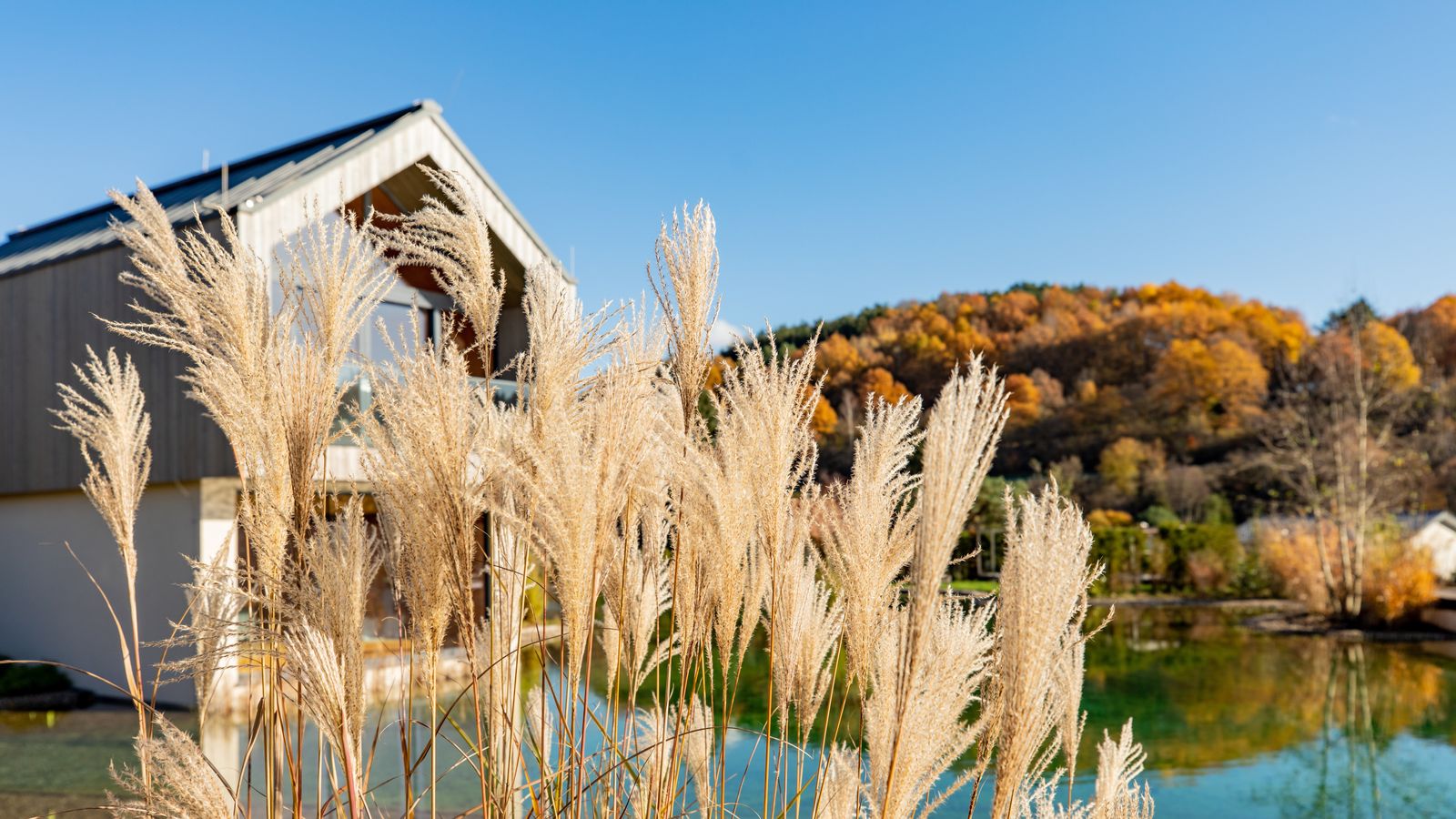 Bild #7 - PFALZBLICK WALD SPA RESORT