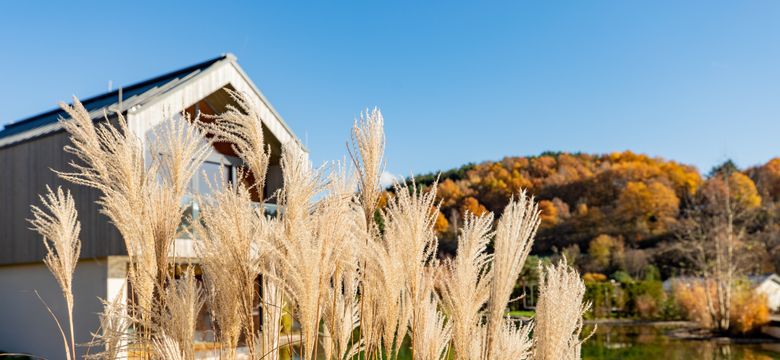 PFALZBLICK WALD SPA RESORT: Kurz mal abtauchen!