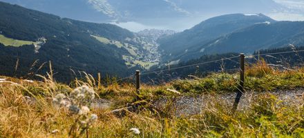 Goldener September – Berg & Balance