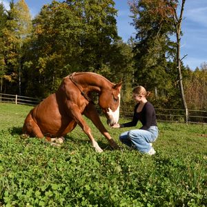 Auf einer Koppel des hoteleigenen Reitstalls sitzt ein braunes Pferd neben einer jungen Frau, die es liebevoll begleitet. Im Hintergrund sind Bäume und ein Zaun zu sehen, die eine idyllische Naturkulisse bilden.