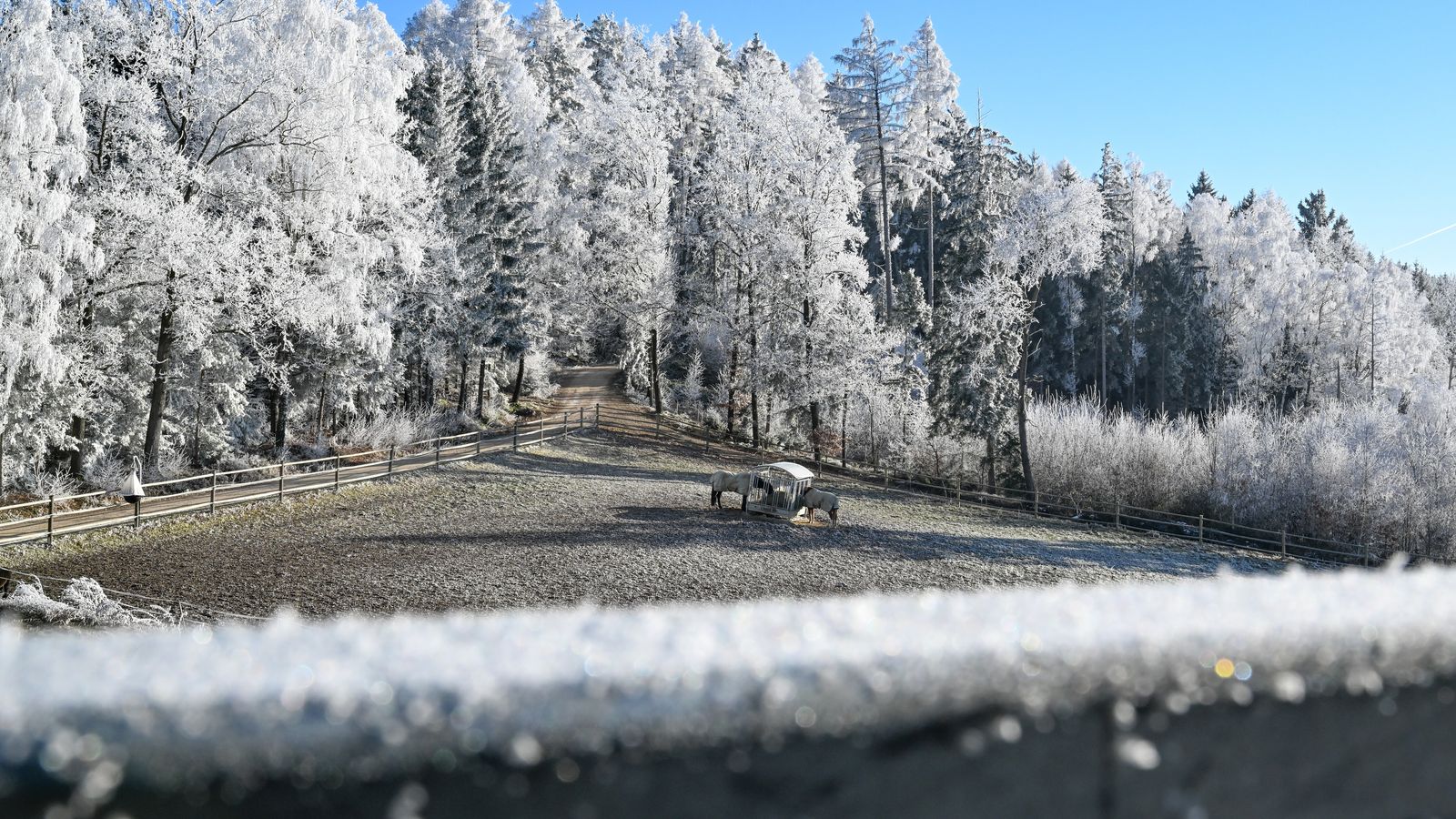 image #29 - ULRICHSHOF Nature · Family · Design