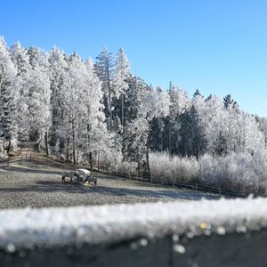 Blick auf den verschneiten Winterwald und die Pferdekoppel