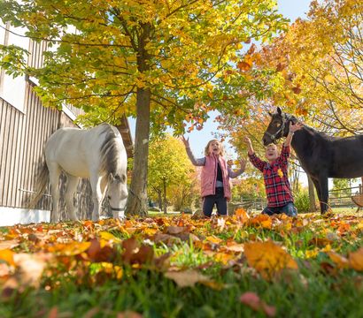 Familotel Bayerischer Wald ULRICHSHOF Nature · Family · Design: Golden autumn moments
