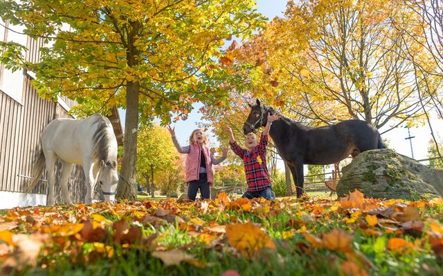 Familotel Bayerischer Wald ULRICHSHOF Nature · Family · Design: Golden autumn moments