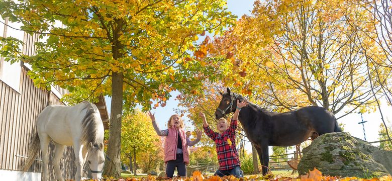 ULRICHSHOF Nature · Family · Design: Golden autumn moments