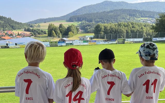 ULRICHSHOF soccer camp image 2 - Familotel Bayerischer Wald ULRICHSHOF Nature · Family · Design