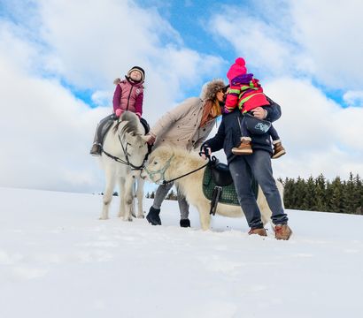 Angebot: Mehr-ZEIT für die Familie - ULRICHSHOF Nature · Family · Design