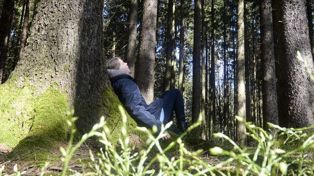 (R)Auszeit im Bayerischen Wald