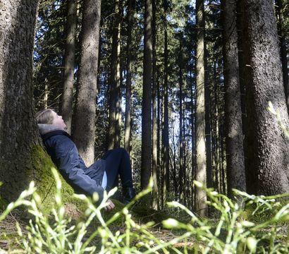 ULRICHSHOF Nature · Family · Design: (R)Auszeit im Bayerischen Wald