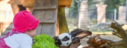 Ein kleines Kind mit pinker Mütze füttert im Streichelzoo des ULRICHSHOF mehrere Hasen mit frischem Salat und einer Karotte.
