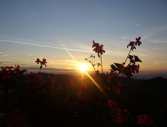 Biohotel Arche Urlaub in Kärnten Sonnenuntergang