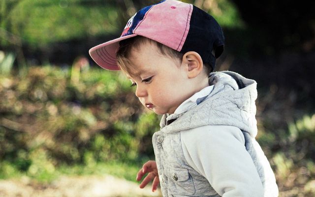 Biolandhaus Arche: Family weeks