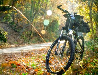 Top Angebot: Mountainbiken - Biohotel Pausnhof