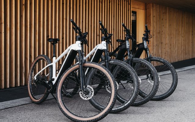 Das Naturhotel Chesa Valisa****s: E-Bike Radl Woche