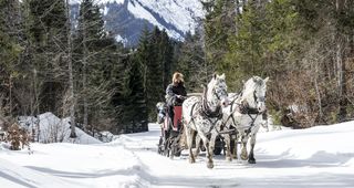 Biohotel-Naturhotel-Chesa-Valisa-Kutschfahrt-im-Winter.