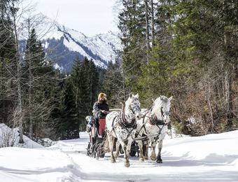 Biohotel-Naturhotel-Chesa-Valisa-Kutschfahrt-im-Winter.