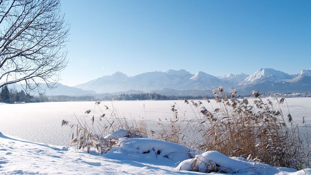 Winter-Fit Offer 5=4