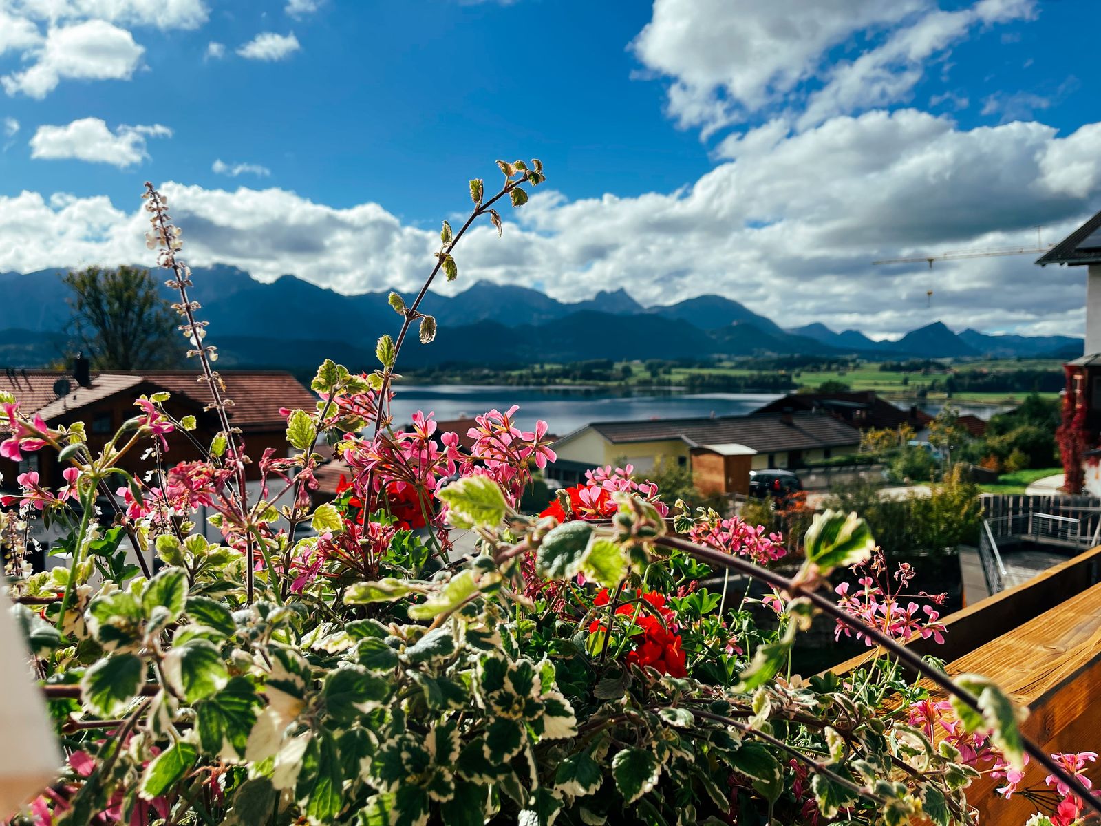 COMFORT Double Room "South Panorama" **** image 2 - Biohotel Eggensberger