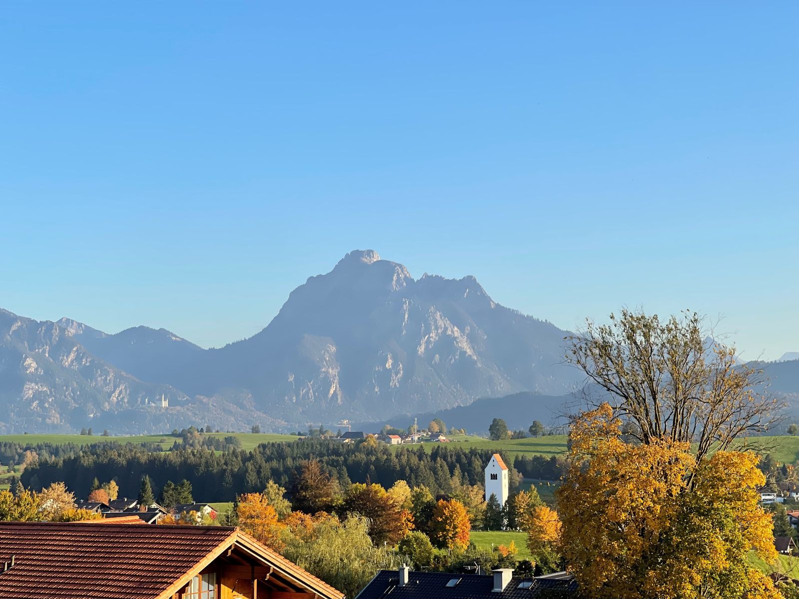 Aussicht aus dem Einzelzimmer "Silberdistel" auf Hopfensee und Allgäuer Berge