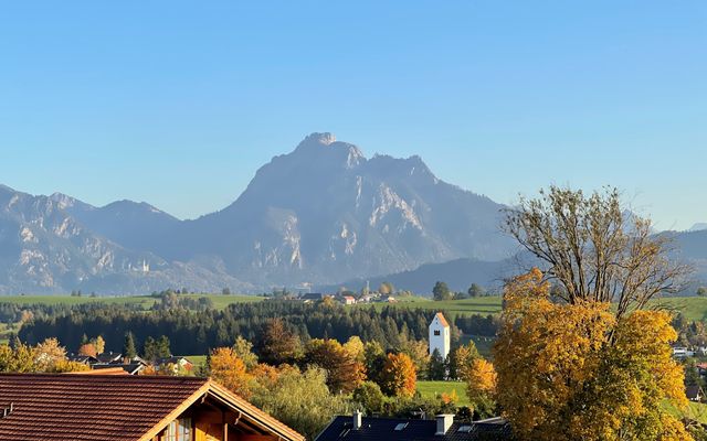 Aussicht aus dem Einzelzimmer "Silberdistel" auf Hopfensee und Allgäuer Berge