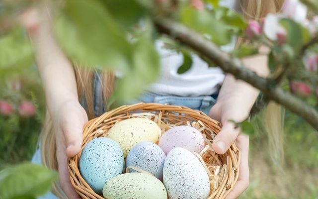Biorefugium theiner's garten: OSTERN IN DER APFELBLÜTE