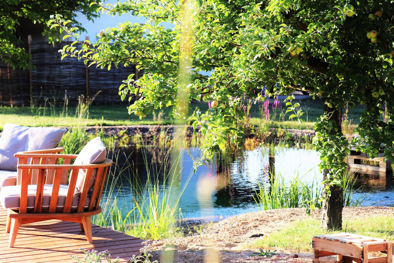 Biohotel Gänz Hackenheim Teich