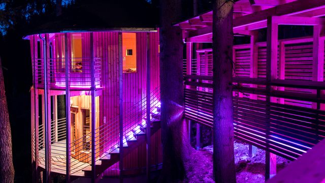 Taster days at the Biohotel Grafenast 