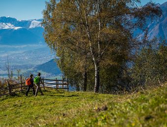 Biohotel Grafenast: Wandern ab Haustüre in Tirol