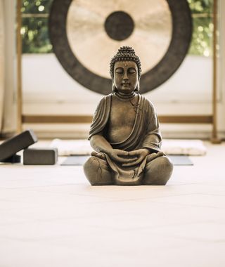 Angebot: 4 Tage YOGA-Retreat "Zeit zum Genießen" - Biohotel Schweitzer