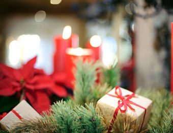 Top Angebot: Weihnachtsfestwoche - Biohotel Schweitzer