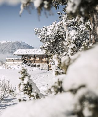 Angebot: Schweitzer Vorteilswoche - Biohotel Schweitzer