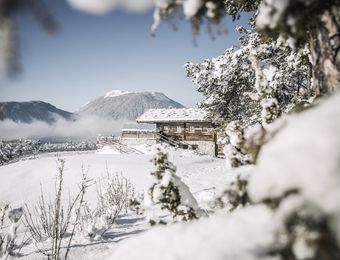 Top Angebot: Neujahrswochenende  - Biohotel Schweitzer
