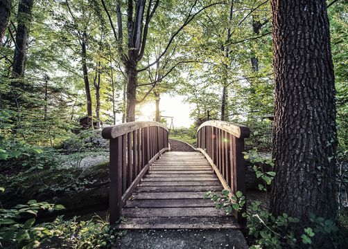 Kommen Sie in Ihre Kraft - Schlossgut Oberambach 
