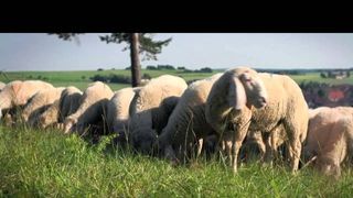 Video Preview image: Biohotel Rose: Imagevideo Gastronomie