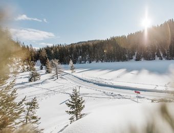 Biohotel Panorama: Winterlandschaft