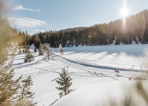 Biohotel Panorama: Winterlandschaft - Biohotel Panorama