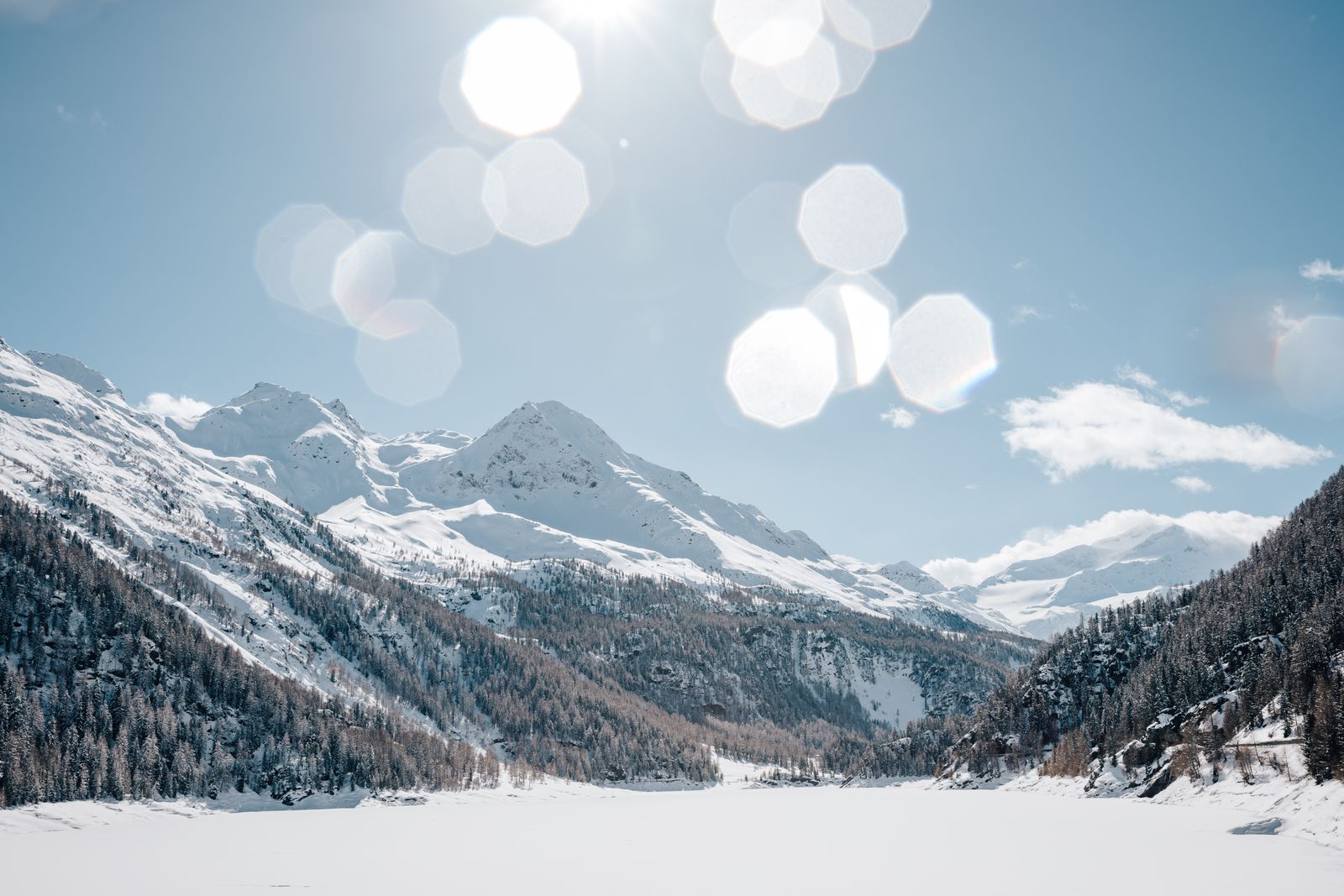 Wintersonne Wochen image 5 - Biohotel Panorama