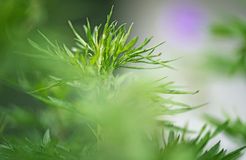 Biohotel moor&mehr: Die Natur ist unser Begleiter - moor&mehr Bio-Kurhotel, Bad Kohlgrub, Alpenvorland, Bayern, Deutschland
