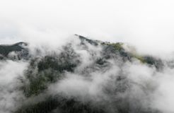 Biohotel moor&mehr: Die Natur ist unser Begleiter. Der Hausberg vor der Türe. - moor&mehr Bio-Kurhotel, Bad Kohlgrub, Alpenvorland, Bayern, Deutschland