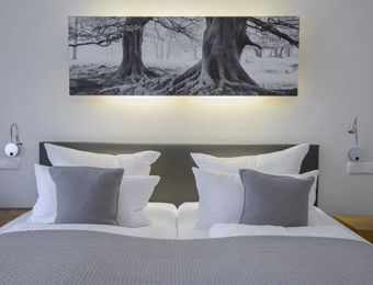  Doppelzimmer Sommerwind  - Biohotel Mohren 