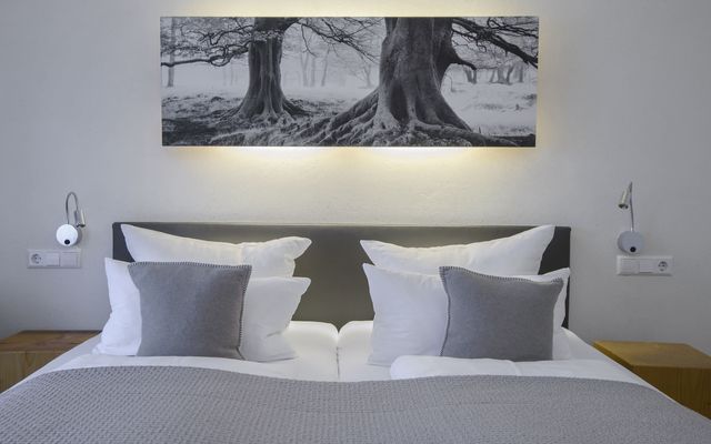 Unterkunft Zimmer/Appartement/Chalet: Doppelzimmer Sommerwind 