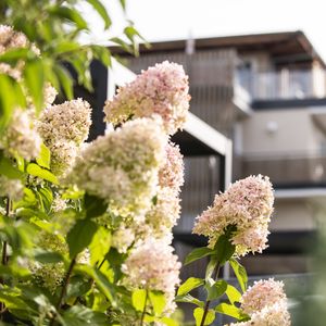 Bodenmaiser Hof-image-9