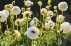 BIO HOTEL Landhotel Anna: Entdecken Sie die Natur - Landhotel Anna & Reiterhof Vill, Schlanders, Vinschgau, Trentino-Südtirol, Italien