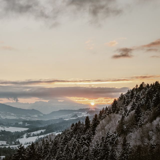 SOUL DAYS IM ADVENT 2026