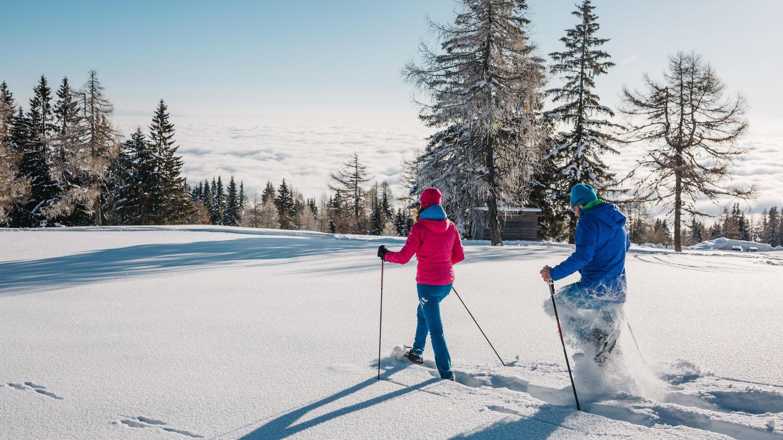 Bild #17 - Mountain Resort  Feuerberg