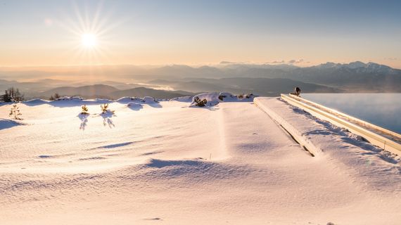 Midweek Wellness Special