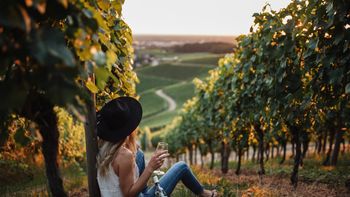 Wine and Hiking