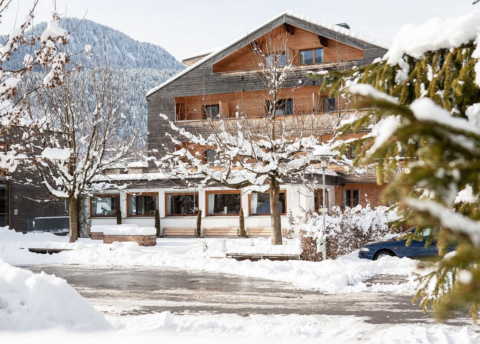 Schwanen III image 5 - Biohotel Schwanen